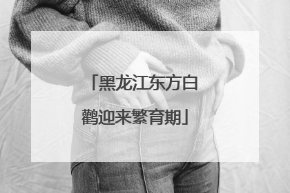 黑龙江东方白鹳迎来繁育期