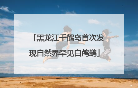 黑龙江千鹤岛首次发现自然界罕见白鸬鹚