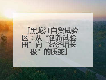 黑龙江自贸试验区：从“创新试验田”向“经济增长极”的质变