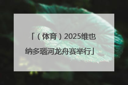 （体育）2025维也纳多瑙河龙舟赛举行