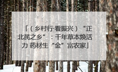 （乡村行·看振兴）“正北芪之乡”：千年草本焕活力 药材生“金”富农家