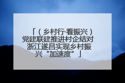 （乡村行·看振兴）党建联建推进村企结对 浙江遂昌实现乡村振兴“加速度”