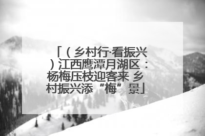 （乡村行·看振兴）江西鹰潭月湖区：杨梅压枝迎客来 乡村振兴添“梅”景