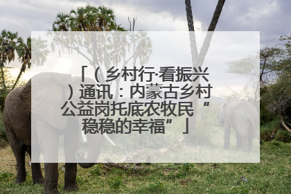 （乡村行·看振兴）通讯：内蒙古乡村公益岗托底农牧民“稳稳的幸福”