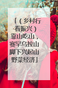 （乡村行·看振兴）靠山吃山，赛罕乌拉山脚下兴起山野菜经济
