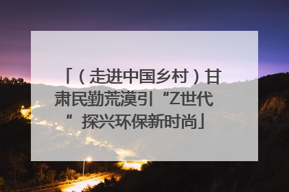 （走进中国乡村）甘肃民勤荒漠引“Z世代”探兴环保新时尚