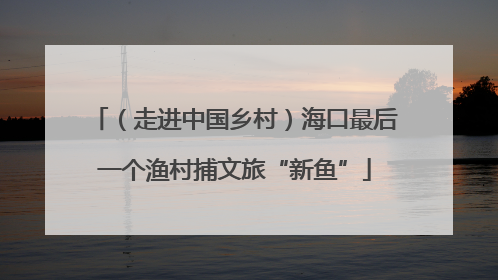 （走进中国乡村）海口最后一个渔村捕文旅“新鱼”