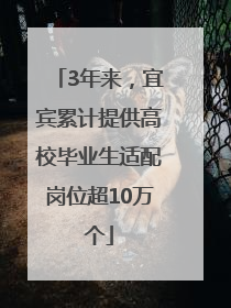 3年来，宜宾累计提供高校毕业生适配岗位超10万个