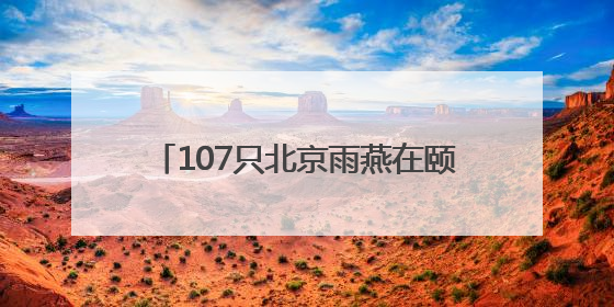 107只北京雨燕在颐和园完成年度“体检”