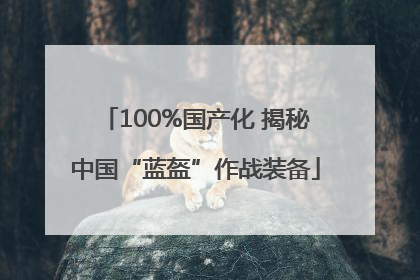100%国产化 揭秘中国“蓝盔”作战装备