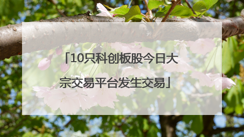 10只科创板股今日大宗交易平台发生交易