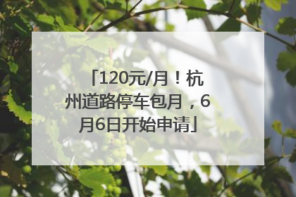 120元/月！杭州道路停车包月，6月6日开始申请
