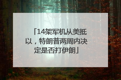 14架军机从美抵以，特朗普两周内决定是否打伊朗