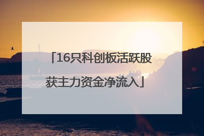 16只科创板活跃股获主力资金净流入