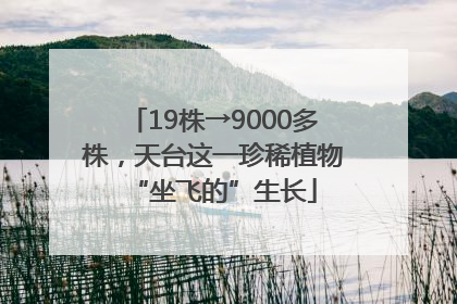 19株→9000多株，天台这一珍稀植物“坐飞的”生长