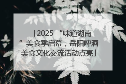 2025 “味道湖南”美食季启幕，岳阳啤酒美食文化交流活动点亮
