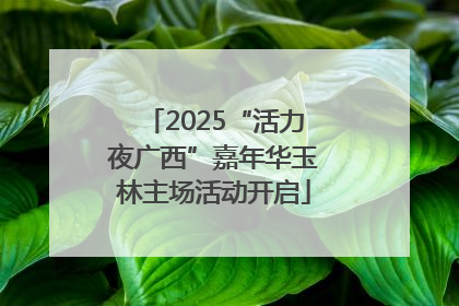 2025“活力夜广西”嘉年华玉林主场活动开启