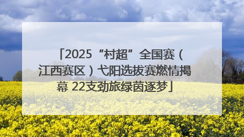 2025“村超”全国赛（江西赛区）弋阳选拔赛燃情揭幕 22支劲旅绿茵逐梦