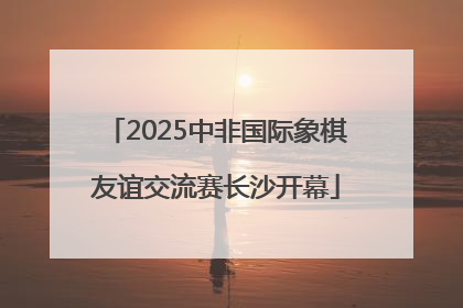 2025中非国际象棋友谊交流赛长沙开幕
