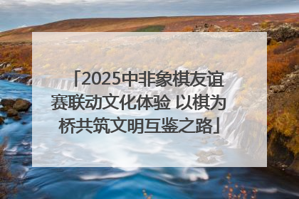 2025中非象棋友谊赛联动文化体验 以棋为桥共筑文明互鉴之路