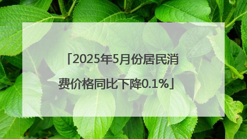 2025年5月份居民消费价格同比下降0.1%