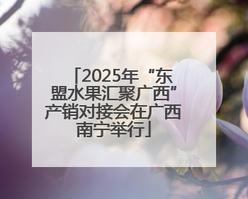 2025年“东盟水果汇聚广西”产销对接会在广西南宁举行