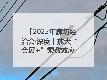 2025年廊坊经洽会·深度｜放大“会展+”乘数效应 打造消费新场景