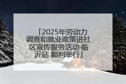2025年劳动力调查和就业政策进社区宣传服务活动·临沂站 顺利举行
