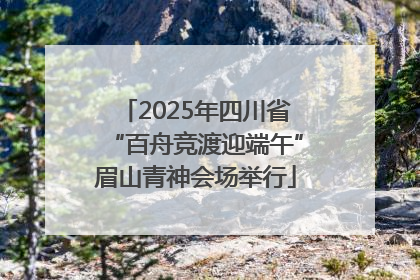 2025年四川省“百舟竞渡迎端午”眉山青神会场举行