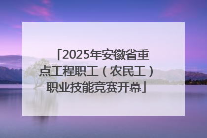 2025年安徽省重点工程职工（农民工）职业技能竞赛开幕