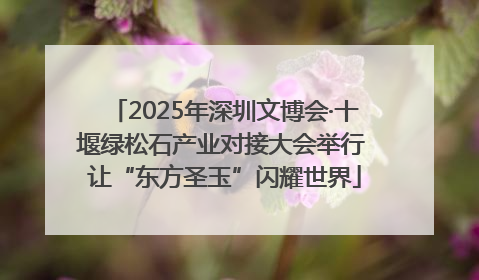 2025年深圳文博会·十堰绿松石产业对接大会举行 让“东方圣玉”闪耀世界
