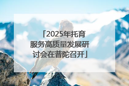 2025年托育服务高质量发展研讨会在普陀召开