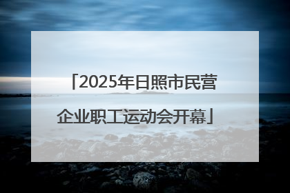 2025年日照市民营企业职工运动会开幕