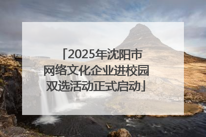 2025年沈阳市网络文化企业进校园双选活动正式启动