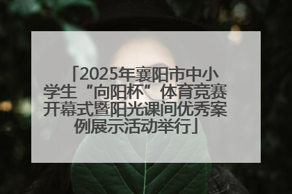 2025年襄阳市中小学生“向阳杯”体育竞赛开幕式暨阳光课间优秀案例展示活动举行