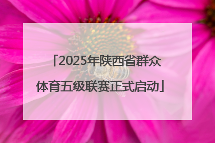 2025年陕西省群众体育五级联赛正式启动