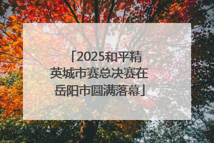 2025和平精英城市赛总决赛在岳阳市圆满落幕