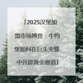 2025汉堡加盟市场博弈：牛约堡如何在巨头夹缝中开辟黄金赛道