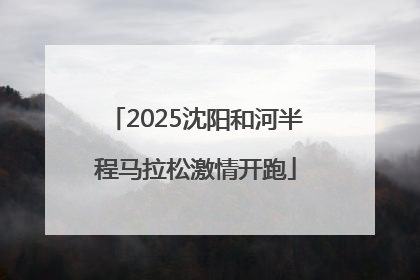 2025沈阳和河半程马拉松激情开跑