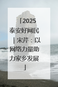 2025泰安好网民｜宋芹：以网络力量助力家乡发展