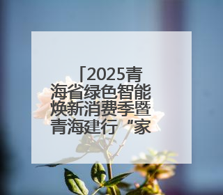 2025青海省绿色智能焕新消费季暨青海建行“家装节”启幕