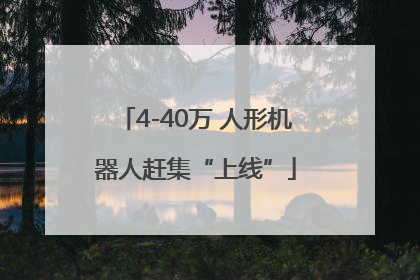 4-40万 人形机器人赶集“上线”