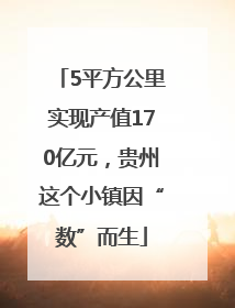 5平方公里实现产值170亿元，贵州这个小镇因“数”而生