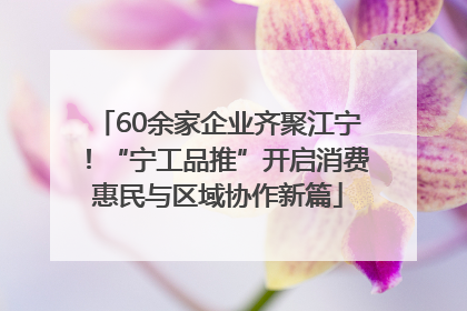 60余家企业齐聚江宁！“宁工品推”开启消费惠民与区域协作新篇