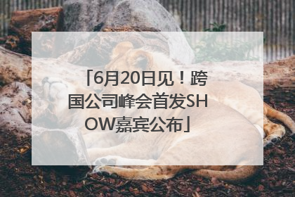 6月20日见！跨国公司峰会首发SHOW嘉宾公布