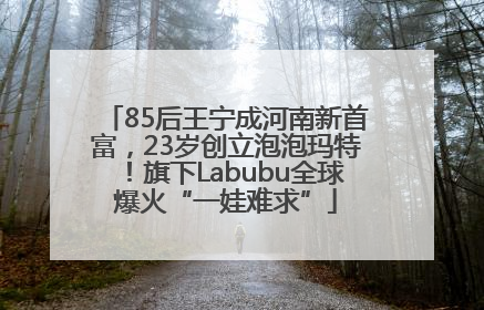 85后王宁成河南新首富，23岁创立泡泡玛特！旗下Labubu全球爆火“一娃难求”