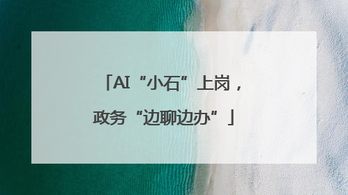 AI“小石”上岗，政务“边聊边办”
