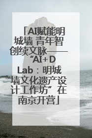 AI赋能明城墙 青年智创续文脉——“AI+D Lab：明城墙文化遗产设计工作坊”在南京开营