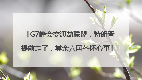 G7峰会变渡劫联盟，特朗普提前走了，其余六国各怀心事