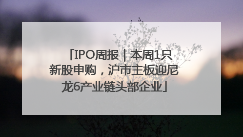 IPO周报｜本周1只新股申购，沪市主板迎尼龙6产业链头部企业